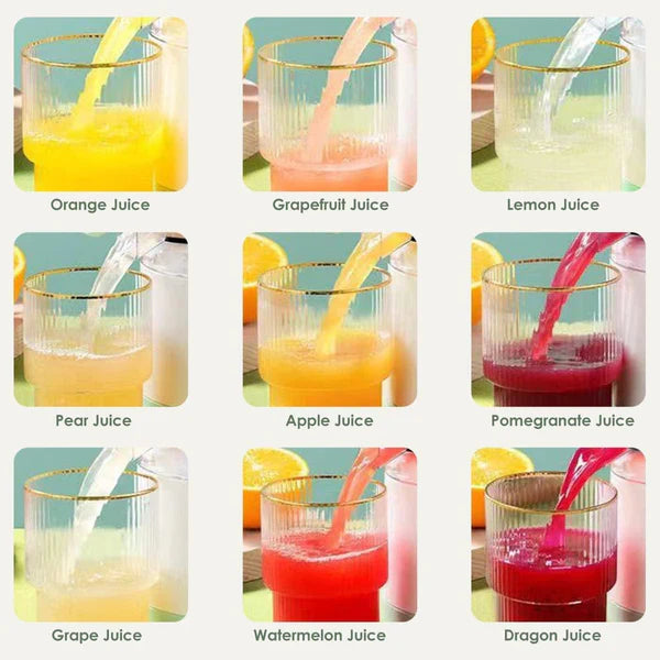 Electric Juice Maker